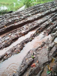 网友求助 下雨天无法行走,真心希望泥土公路改建成水泥路