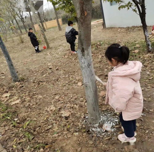 自然教育 在寒冷冬日,帮树木过冬