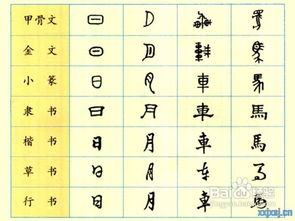 姓名用字应以简化字笔画为标准 