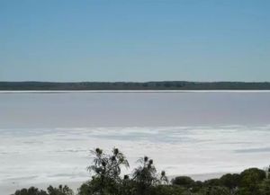 西澳绝美粉湖正在消逝...我们还有多少没来得及欣赏就错过的遗憾