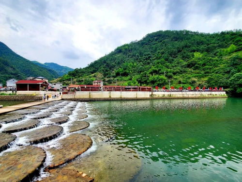 浙江丽水庆元屏都街道天气预报