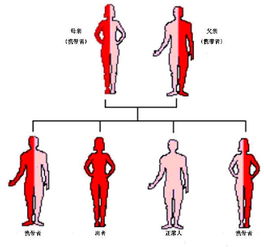 旦旦优生|体重异常对试管的影响：80多斤女生可以做试管吗？