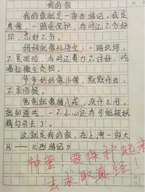 描写老师的范文;家长对教师的评价范文？