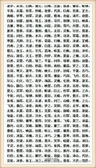 儿女的名字大全,都超好听 再也不用头疼取名字了