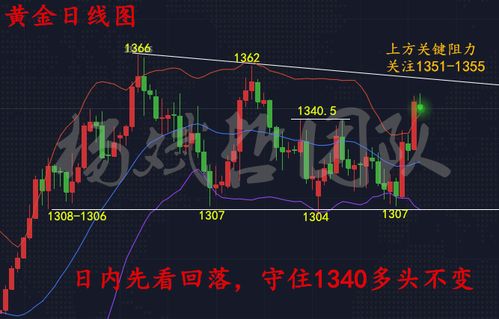 杨斌哲 本周黄金能否续演逼空行情 326黄金行情解析及策略布局 