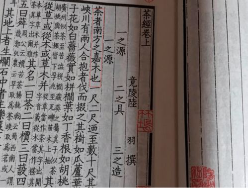 金奖茶人 非遗传人叶丛嘉35年独门技艺拼配的 凤凰单丛 ,一口蜜兰香韵 绵滑醇和