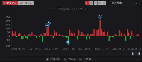 能看出沪股通购买了什么股票