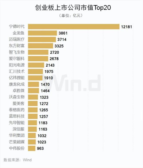 创业板新上市公司要保证金吗