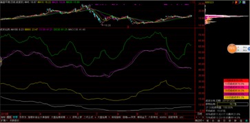 帮我写一个主力持仓筹码5日连接增加的选股公试，谢谢