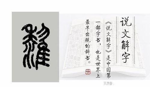 说文解字 第710课, 细说 雇 字, 它本来是九种鸟的统称