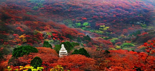 爬香山励志说说（北京旅游的朋友圈短句？）