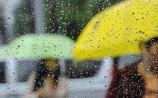 宜宾人,今起要持续降雨,回来这些地方易堵