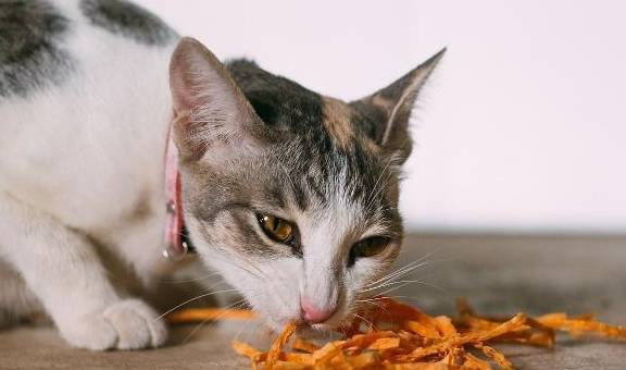 猫咪吃芋头有三个风险,草酸钙结石是其中之一