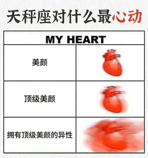 天秤座对什么最心动 