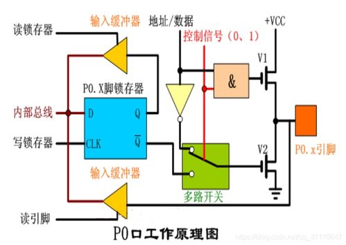 判断一下这个图每个部分各自是什么时期会追分 高中生物 