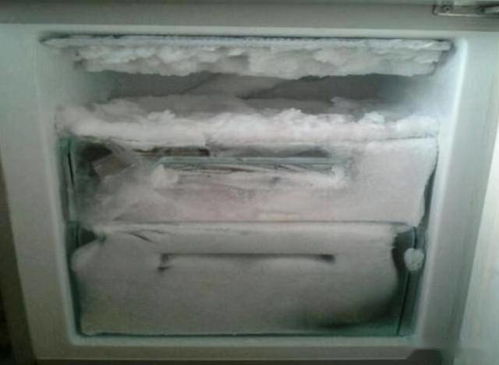 冰箱结冰了怎么办 教您几招轻松除冰