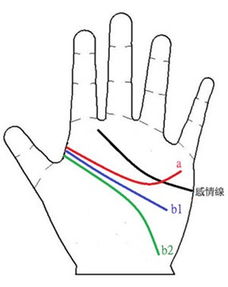 手相掌纹分析你能否慧眼识人