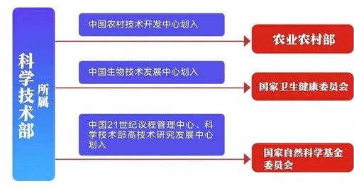 学校教育系统改革方案模板(学校教育改革与发展情况报告)