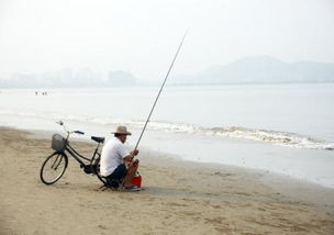 在三亚海边钓鱼,要用什么鱼饵 