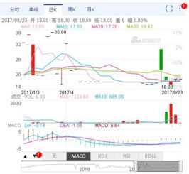 天山生物与大象股份两家公司有什么关系