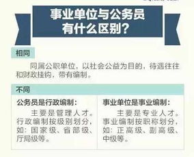 2021年黄梅烟价格一览，批发渠道与零售差异解析 - 3 - 680860香烟网