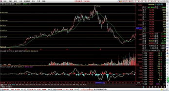 股票技术分析主要看那几个指标?它们发出信号不同怎么办?