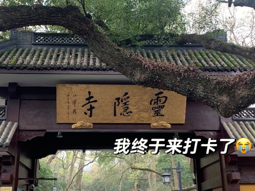 刚从灵隐寺出来的我 