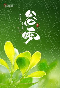 谷雨前一天好还是后一天好