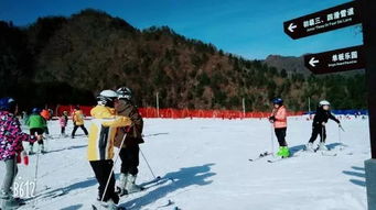 滑雪,汉中人冬季正确的打开方式,嗨翻天 