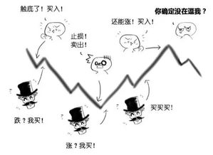 我想理财，保险和基金定投，哪种更好些？