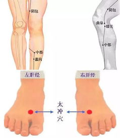 推拿针灸必备穴位,不收藏你就损失大了