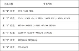 威尔高中签号公布，新股中签结果全面披露