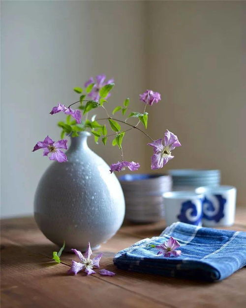 一朵花,在花园里是风景,插在花瓶中却是一种艺术 