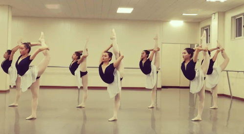 西南科技大学文艺学院音乐系举行舞蹈方向专业期末考试