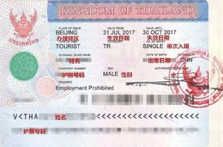 泰国普吉岛旅游 签证，泰国旅游签证详细攻略