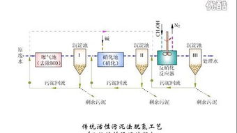 有关活性污泥问题，培养活性污泥时，碳氮磷三者比为100：5：1，请问如何控制这个比例，水取样化验还是？