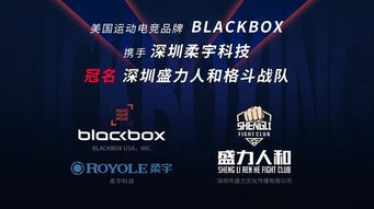 盛力人和获百万赞助,美国运动电竞品牌Blackbox将冠名俱乐部