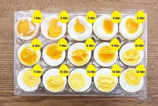 保洁蛋是无菌蛋吗？