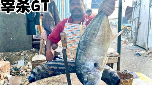 印度代杀鱼摊位,刀哥帮客户宰杀巨型GT鱼,大家见识一下专业刀法
