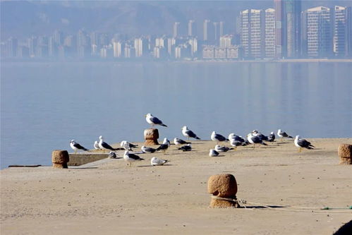 都怪初夏太撩人 威海人家门口的这处人间仙境美翻了,快乘船进岛吧