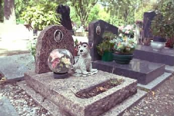 宠物公墓最高叫价1.2万 宠物消费日趋 拟人化 