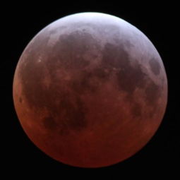 涨姿势 今年中秋超级红月与月全食完美邂逅