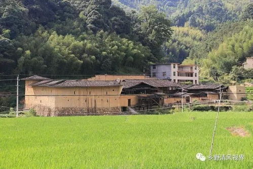 尤溪这个老屋有200多年的历史,据说后山还有龙脉 