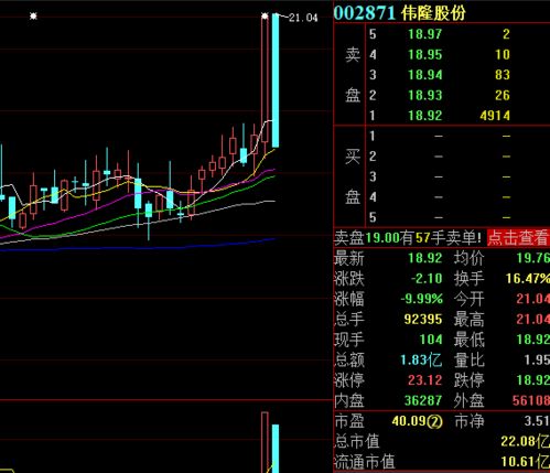 600570股票2021年9月29日开盘会涨停?