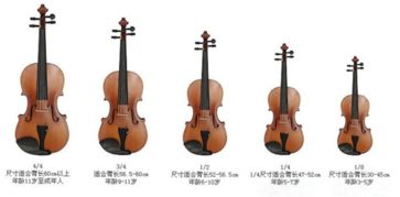 小提琴大小划分(小提琴的大小型号)