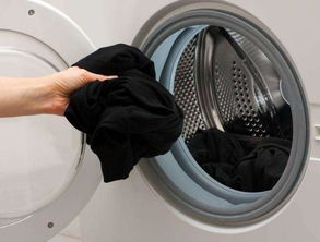 洗衣服记得在洗衣机里扔个瓶子,比手洗还干净,而且不磨损衣物 