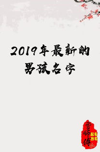 宝宝起名之2019年最新的男孩名字 贾师傅起名 