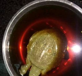 海龟汤怎么做 