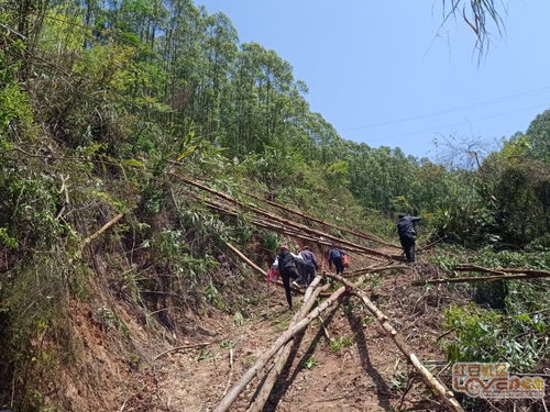 山路难行 