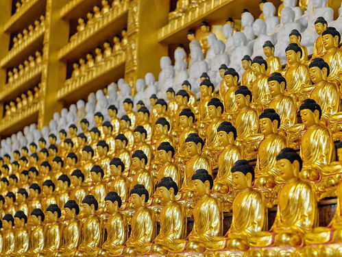 佛学 什么是佛教中的 缘 和 空